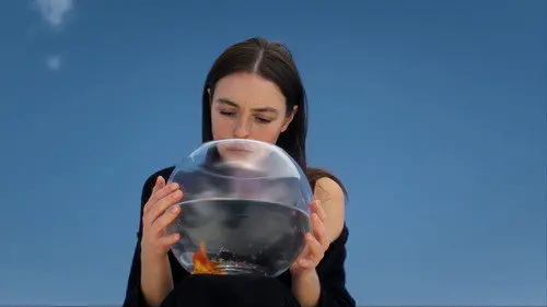 Leyla Hâli izle - Dizipal