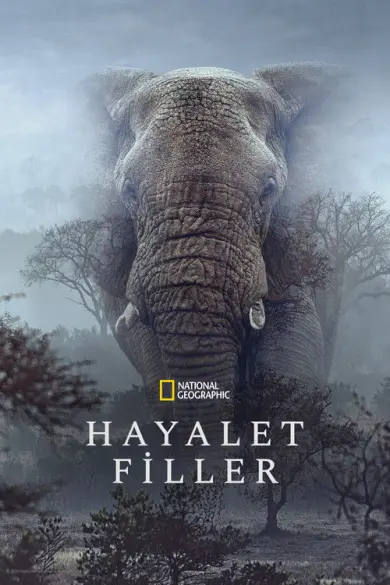 Hayalet Filler izle - Dizipal
